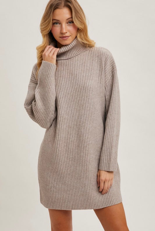 Turtle Neck Sweater Dress